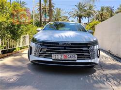 BYD Destroyer 05